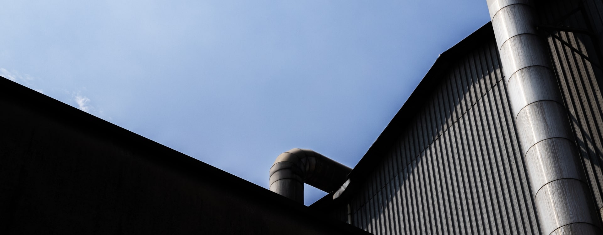 prosimet_leader internazionale